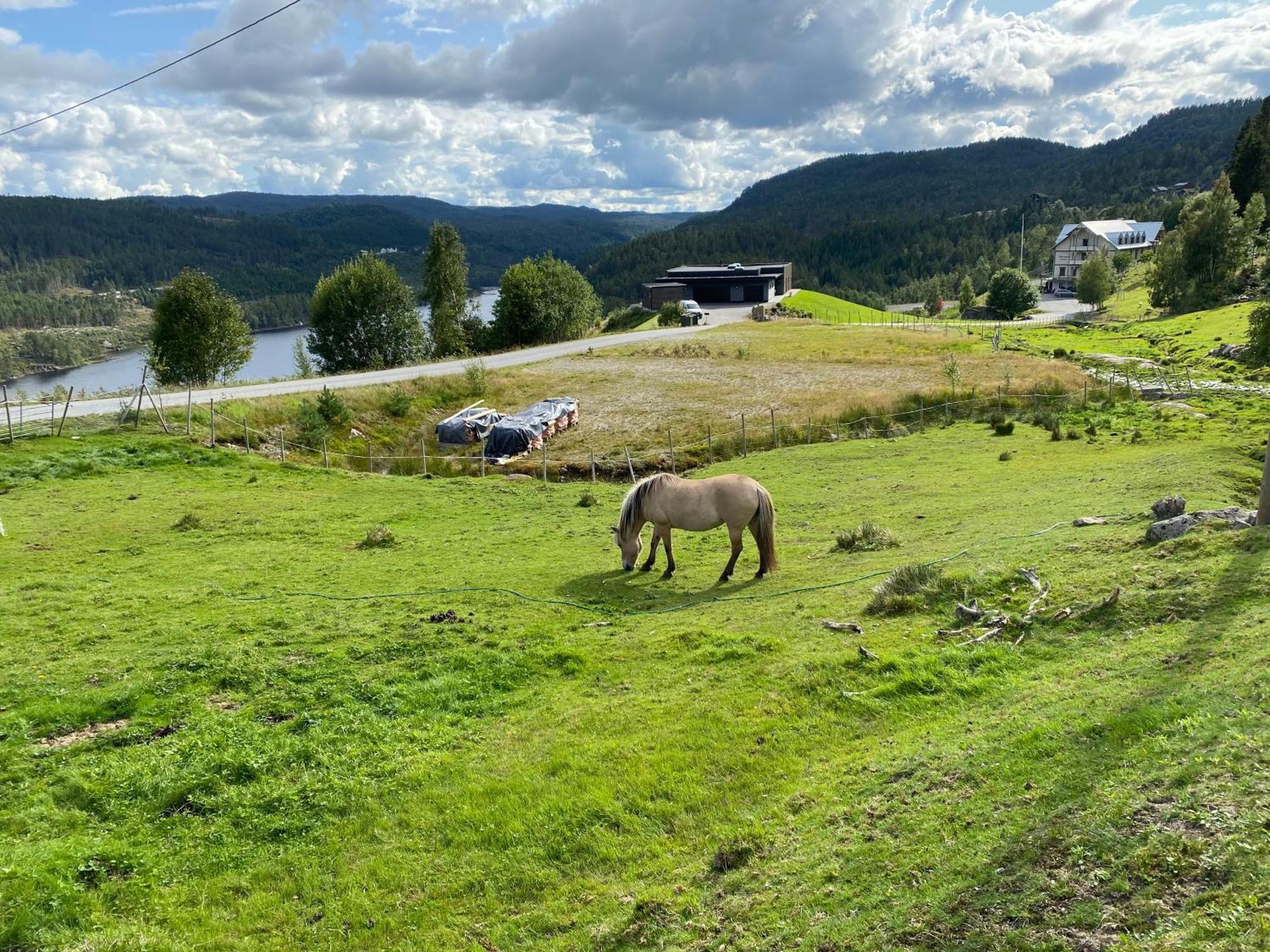 Hygge på fjellet Villa Øyuvstad Eksteriør bilde